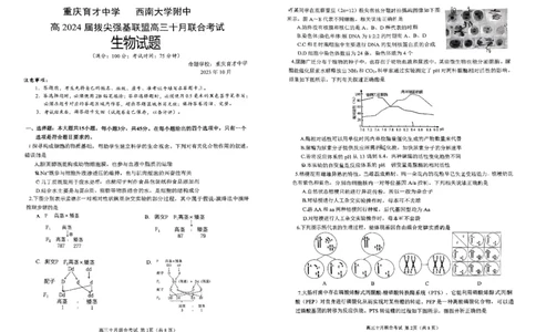 重庆育才中学西南大学附中高2024届拔尖强基联盟高三十月联合考试生物(1)_2023年10月_01每日更新_25号_2024届重庆育才中学西南大学附中高拔尖强基联盟高三十月联合考试