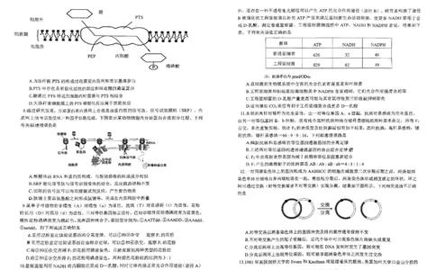 重庆育才中学西南大学附中高2024届拔尖强基联盟高三十月联合考试生物(1)_2023年10月_01每日更新_25号_2024届重庆育才中学西南大学附中高拔尖强基联盟高三十月联合考试