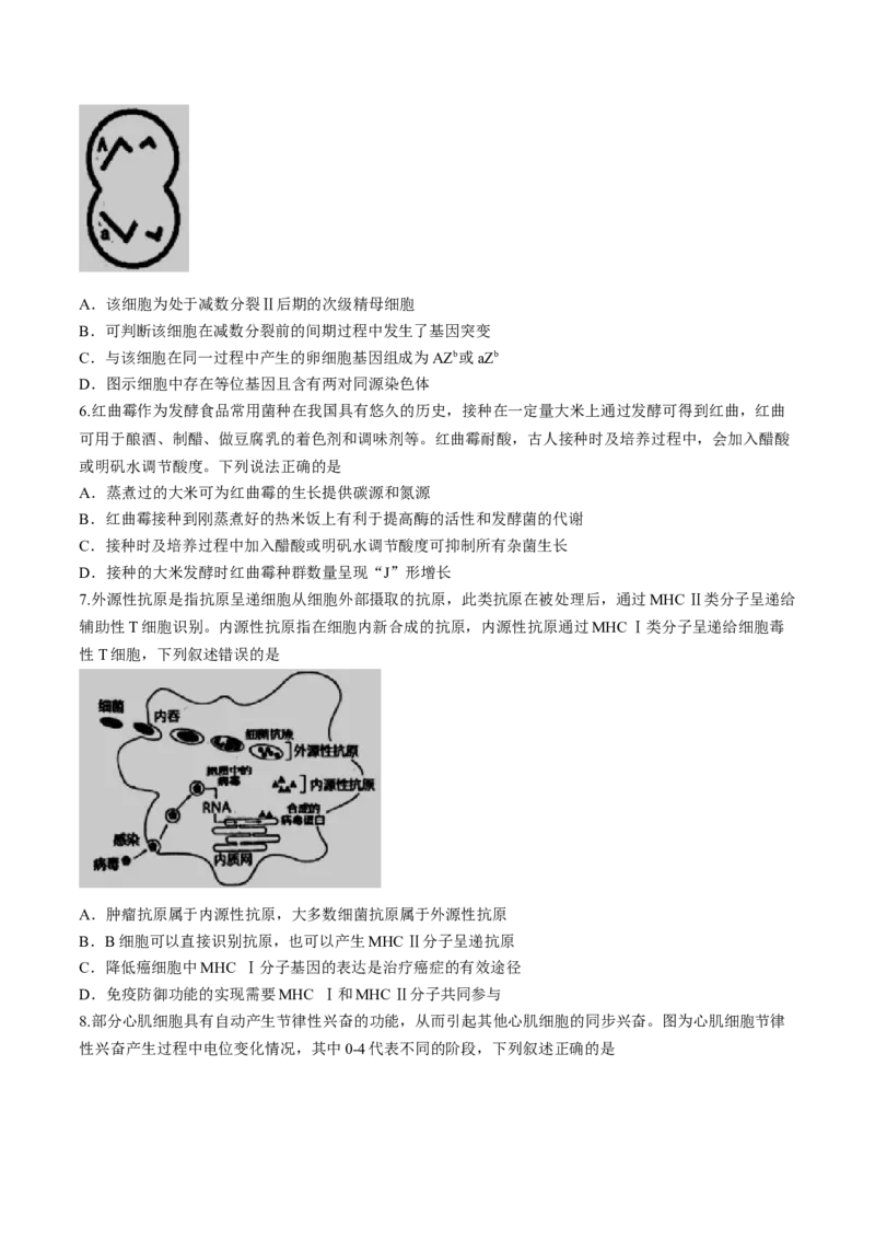 2024届江西省南昌市2高三第三次模拟测试生物试题(1)_2024年5月_025月合集_2024届江西省南昌市高三下学期第三次模拟测试
