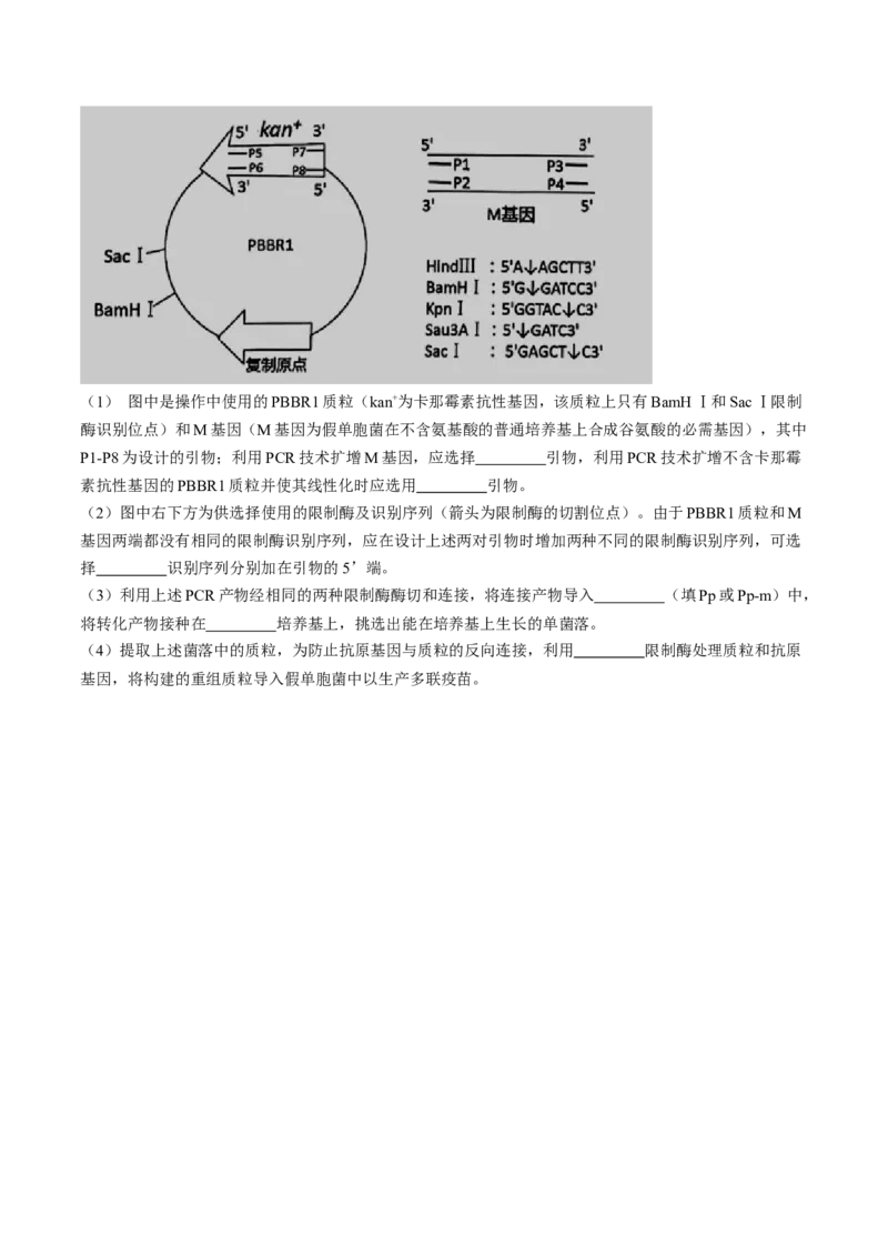2024届江西省南昌市2高三第三次模拟测试生物试题(1)_2024年5月_025月合集_2024届江西省南昌市高三下学期第三次模拟测试