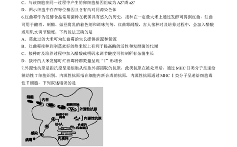 2024届江西省南昌市2高三第三次模拟测试生物试题(1)_2024年5月_025月合集_2024届江西省南昌市高三下学期第三次模拟测试