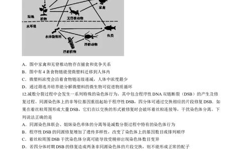 2024届江西省南昌市2高三第三次模拟测试生物试题(1)_2024年5月_025月合集_2024届江西省南昌市高三下学期第三次模拟测试
