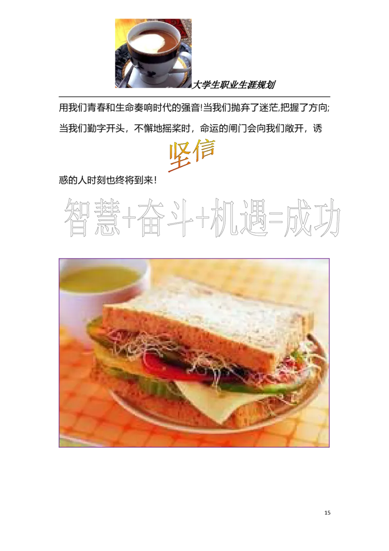 大学生职业规划书新能源_E6-职业规划_27汽车类专业