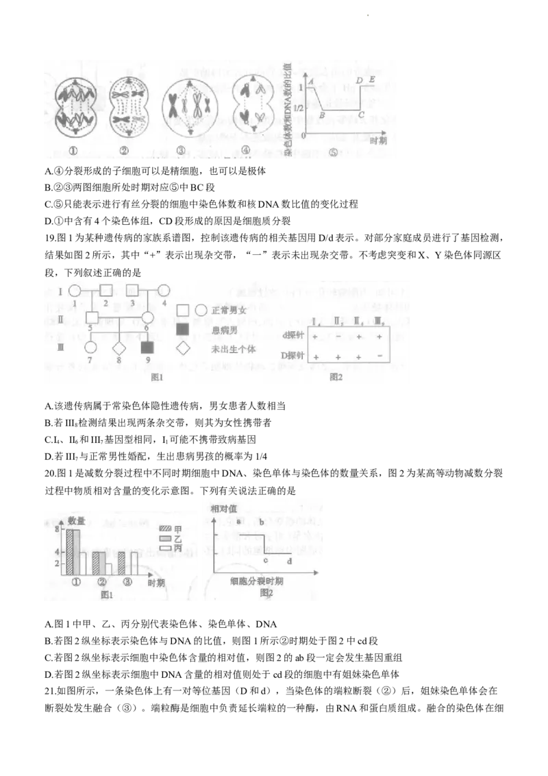 河南省信阳市2024届普通高中高三第一次教学质量检测（信阳一模）生物(1)_2023年10月_01每日更新_20号_2024届河南省信阳市普通高中高三第一次教学质量检测（信阳一模）