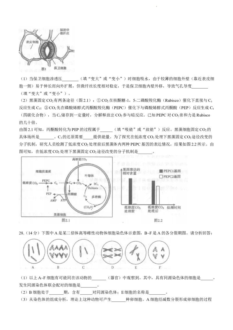 河南省信阳市2024届普通高中高三第一次教学质量检测（信阳一模）生物(1)_2023年10月_01每日更新_20号_2024届河南省信阳市普通高中高三第一次教学质量检测（信阳一模）