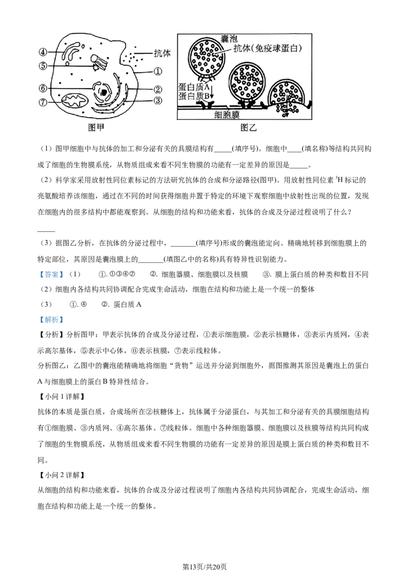 精品解析：重庆市西北狼教育联盟2023-2024学年高三上学期开学考试生物试题（解析版）_2023年9月_01每日更新_14号_2024届重庆市西北狼教育联盟高三上学期开学考试