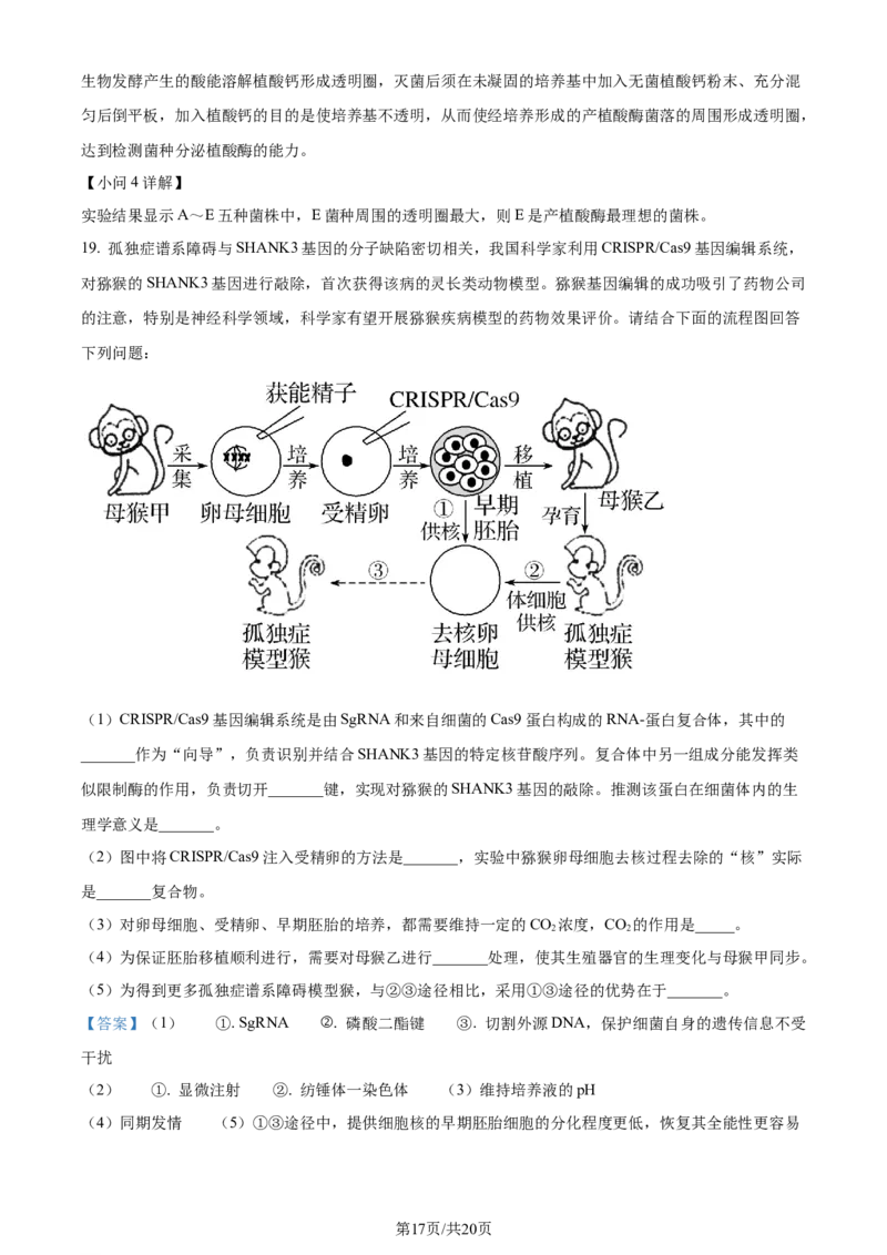 精品解析：重庆市西北狼教育联盟2023-2024学年高三上学期开学考试生物试题（解析版）_2023年9月_01每日更新_14号_2024届重庆市西北狼教育联盟高三上学期开学考试