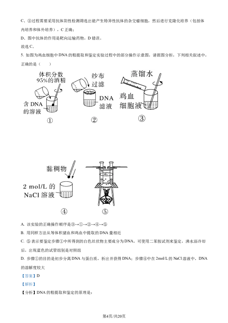 精品解析：重庆市西北狼教育联盟2023-2024学年高三上学期开学考试生物试题（解析版）_2023年9月_01每日更新_14号_2024届重庆市西北狼教育联盟高三上学期开学考试