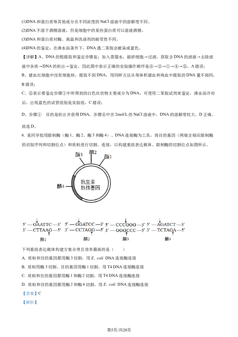 精品解析：重庆市西北狼教育联盟2023-2024学年高三上学期开学考试生物试题（解析版）_2023年9月_01每日更新_14号_2024届重庆市西北狼教育联盟高三上学期开学考试
