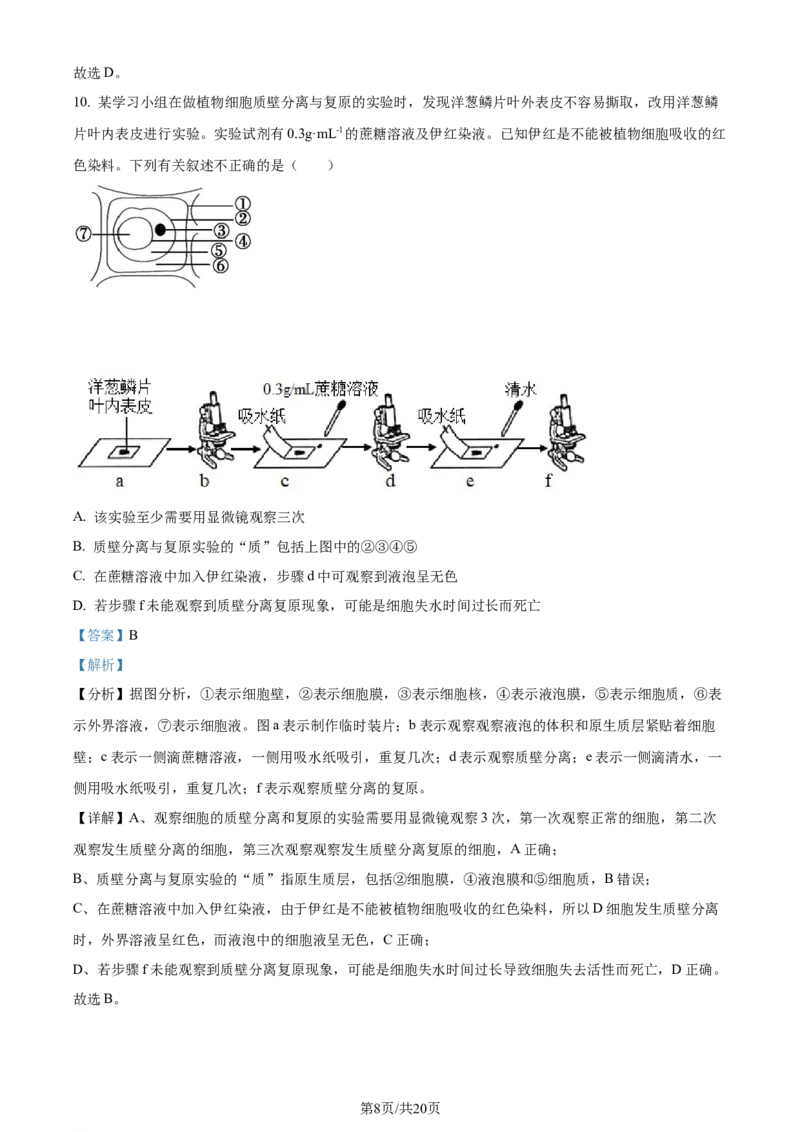 精品解析：重庆市西北狼教育联盟2023-2024学年高三上学期开学考试生物试题（解析版）_2023年9月_01每日更新_14号_2024届重庆市西北狼教育联盟高三上学期开学考试