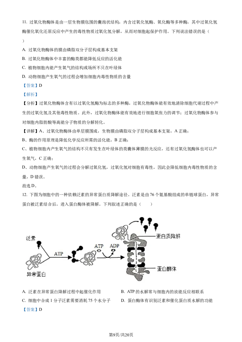 精品解析：重庆市西北狼教育联盟2023-2024学年高三上学期开学考试生物试题（解析版）_2023年9月_01每日更新_14号_2024届重庆市西北狼教育联盟高三上学期开学考试