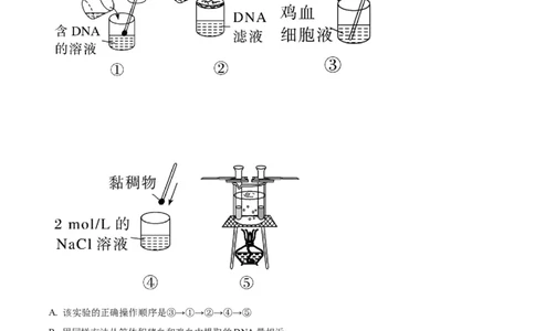 精品解析：重庆市西北狼教育联盟2023-2024学年高三上学期开学考试生物试题（解析版）_2023年9月_01每日更新_14号_2024届重庆市西北狼教育联盟高三上学期开学考试