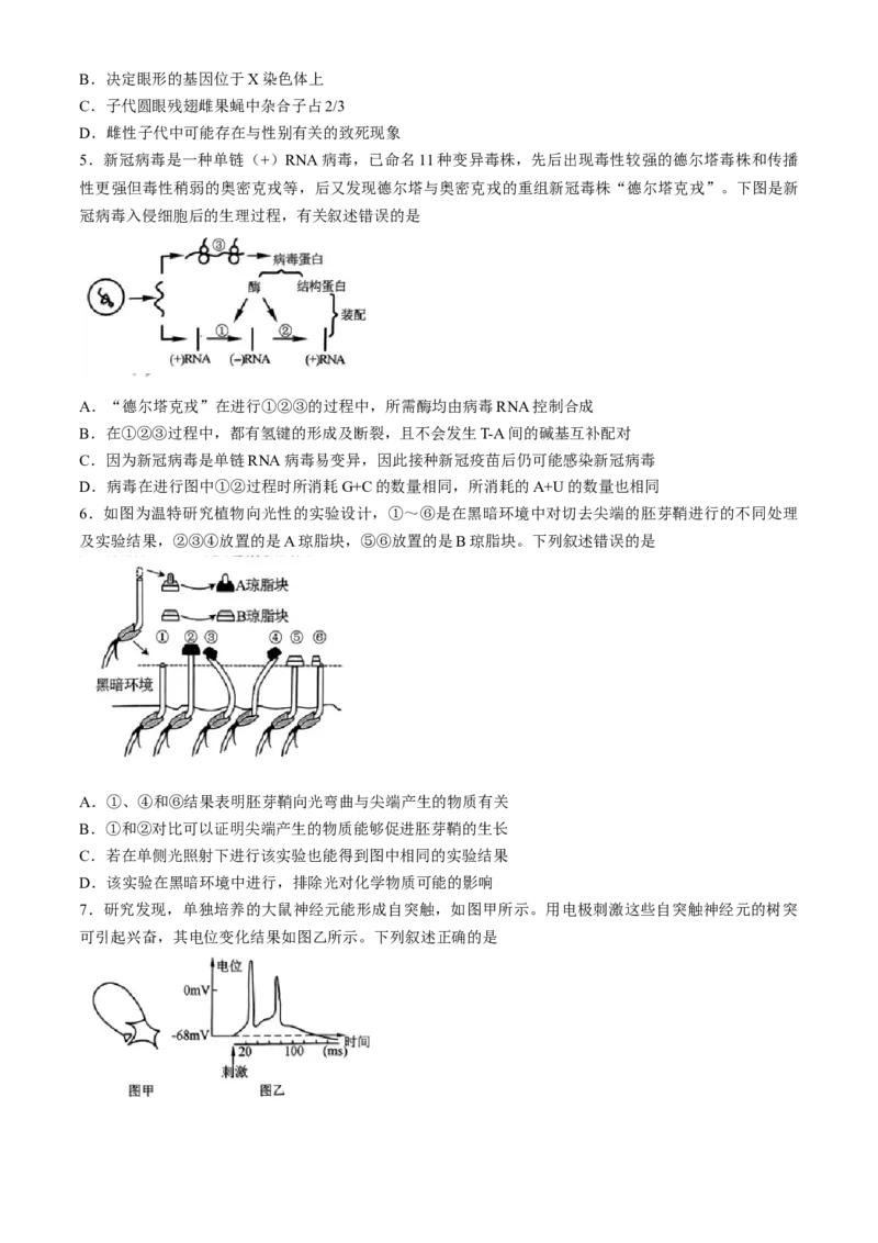 2024届东北三省三校高三第三次联合模拟考试生物试题(无答案)_2024年5月_01按日期_8号_2024届东北三省三校高三下学期第三次联合模拟考试_2024届东北三省三校高三第三次联合模拟考试生物