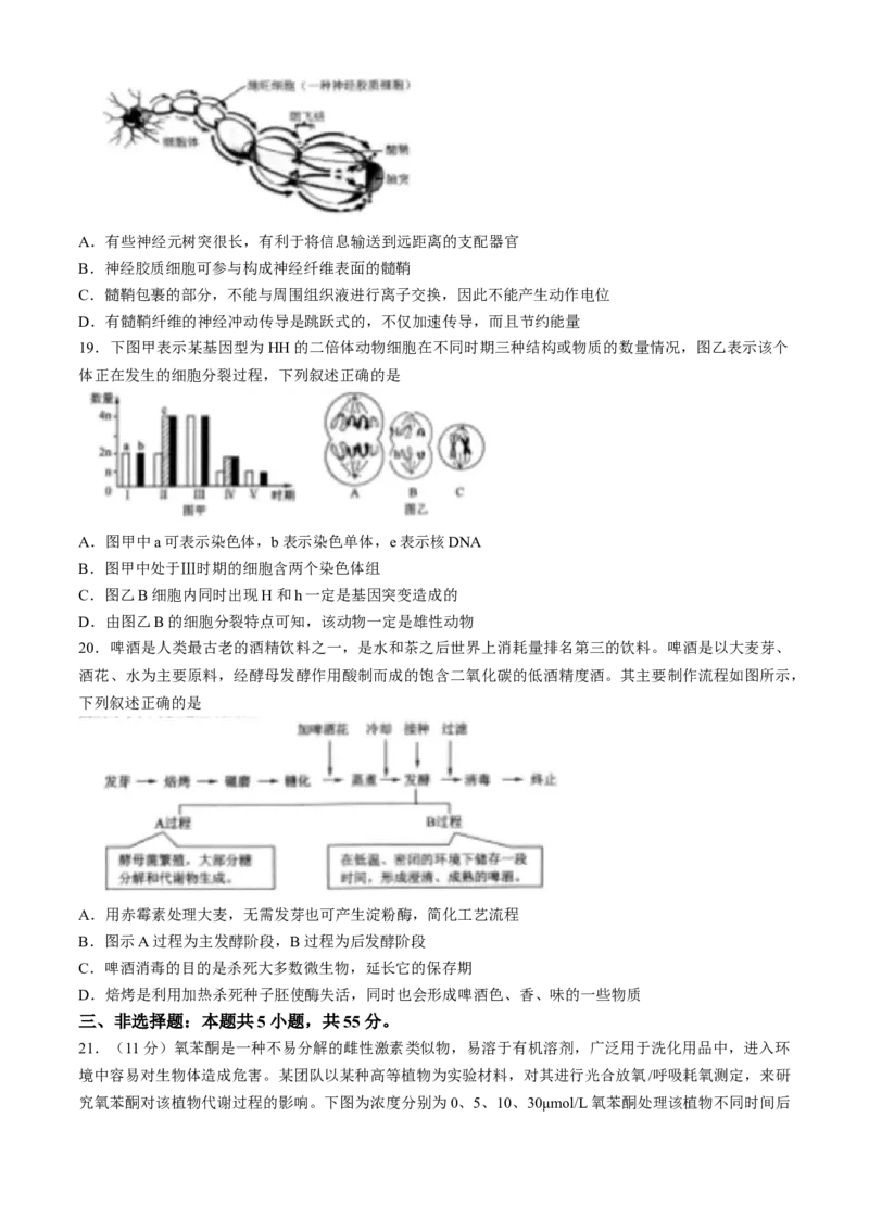 2024届东北三省三校高三第三次联合模拟考试生物试题(无答案)_2024年5月_01按日期_8号_2024届东北三省三校高三下学期第三次联合模拟考试_2024届东北三省三校高三第三次联合模拟考试生物