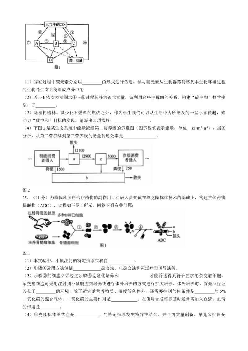 2024届东北三省三校高三第三次联合模拟考试生物试题(无答案)_2024年5月_01按日期_8号_2024届东北三省三校高三下学期第三次联合模拟考试_2024届东北三省三校高三第三次联合模拟考试生物