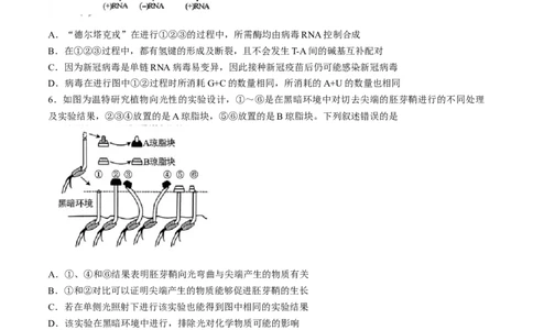 2024届东北三省三校高三第三次联合模拟考试生物试题(无答案)_2024年5月_01按日期_8号_2024届东北三省三校高三下学期第三次联合模拟考试_2024届东北三省三校高三第三次联合模拟考试生物