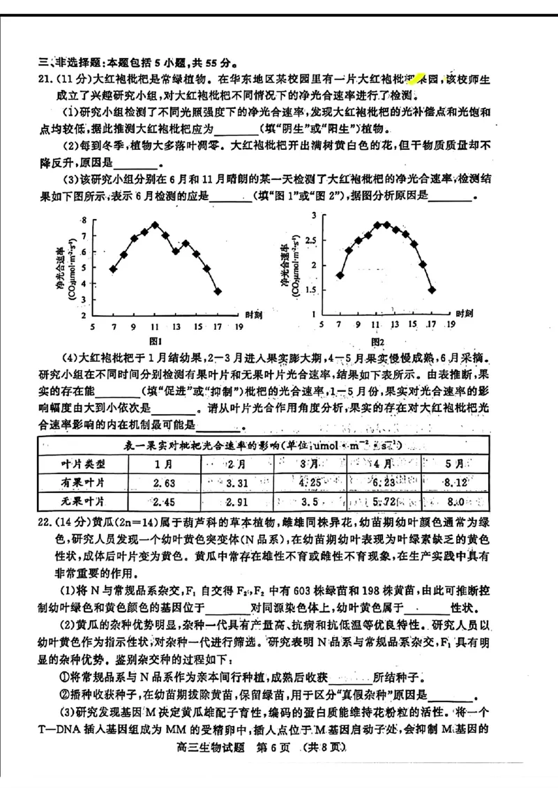2024届山东省济南市高考针对性训练(5月)三模生物试卷+答案(1)_2024年5月_025月合集_2024届山东省济南市高考针对性训练(5月)三模
