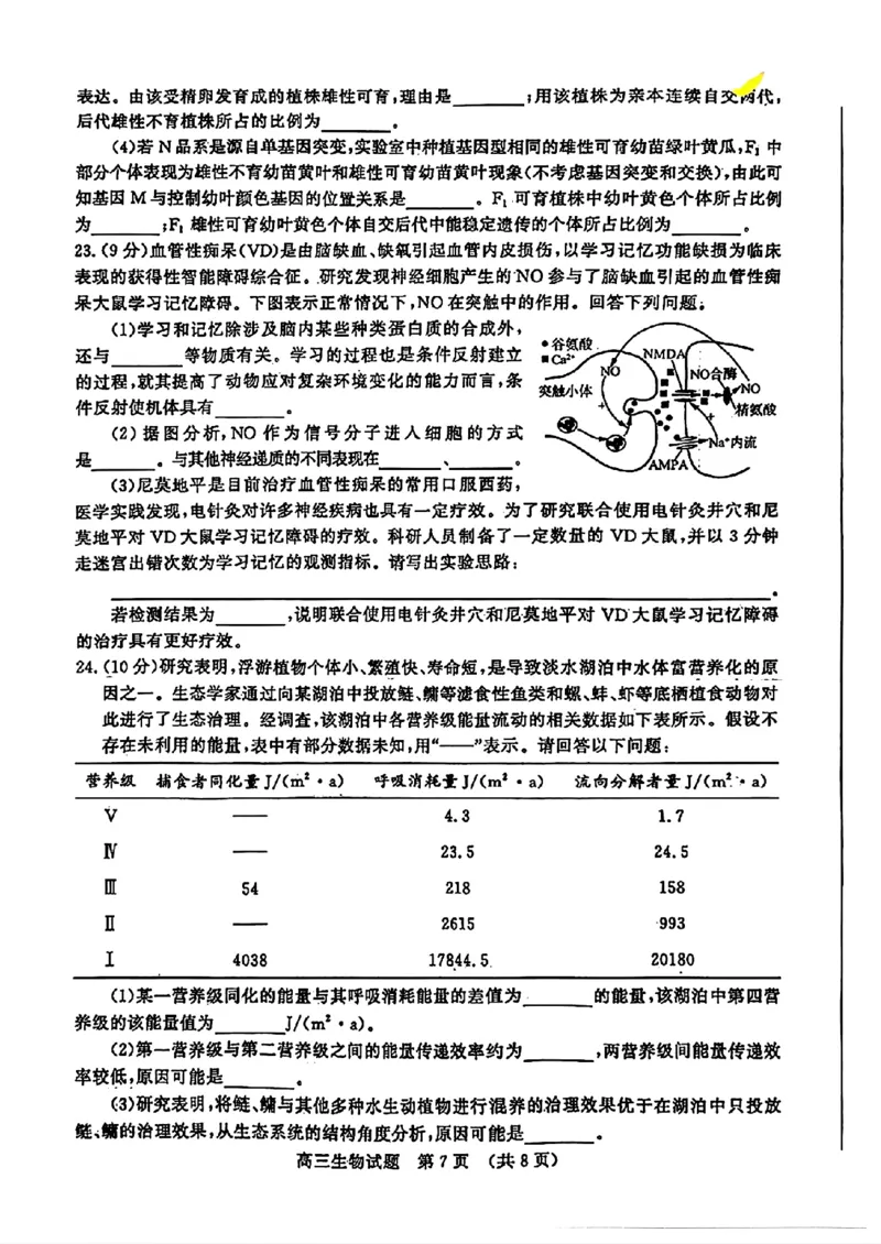 2024届山东省济南市高考针对性训练(5月)三模生物试卷+答案(1)_2024年5月_025月合集_2024届山东省济南市高考针对性训练(5月)三模