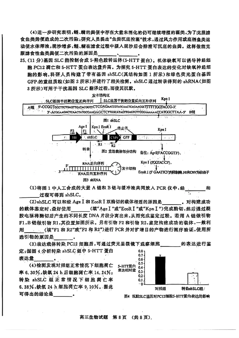 2024届山东省济南市高考针对性训练(5月)三模生物试卷+答案(1)_2024年5月_025月合集_2024届山东省济南市高考针对性训练(5月)三模