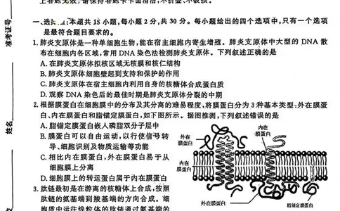 2024届山东省济南市高考针对性训练(5月)三模生物试卷+答案(1)_2024年5月_025月合集_2024届山东省济南市高考针对性训练(5月)三模