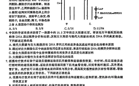 2024届山东省济南市高考针对性训练(5月)三模生物试卷+答案(1)_2024年5月_025月合集_2024届山东省济南市高考针对性训练(5月)三模