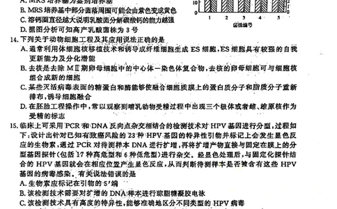 2024届山东省济南市高考针对性训练(5月)三模生物试卷+答案(1)_2024年5月_025月合集_2024届山东省济南市高考针对性训练(5月)三模