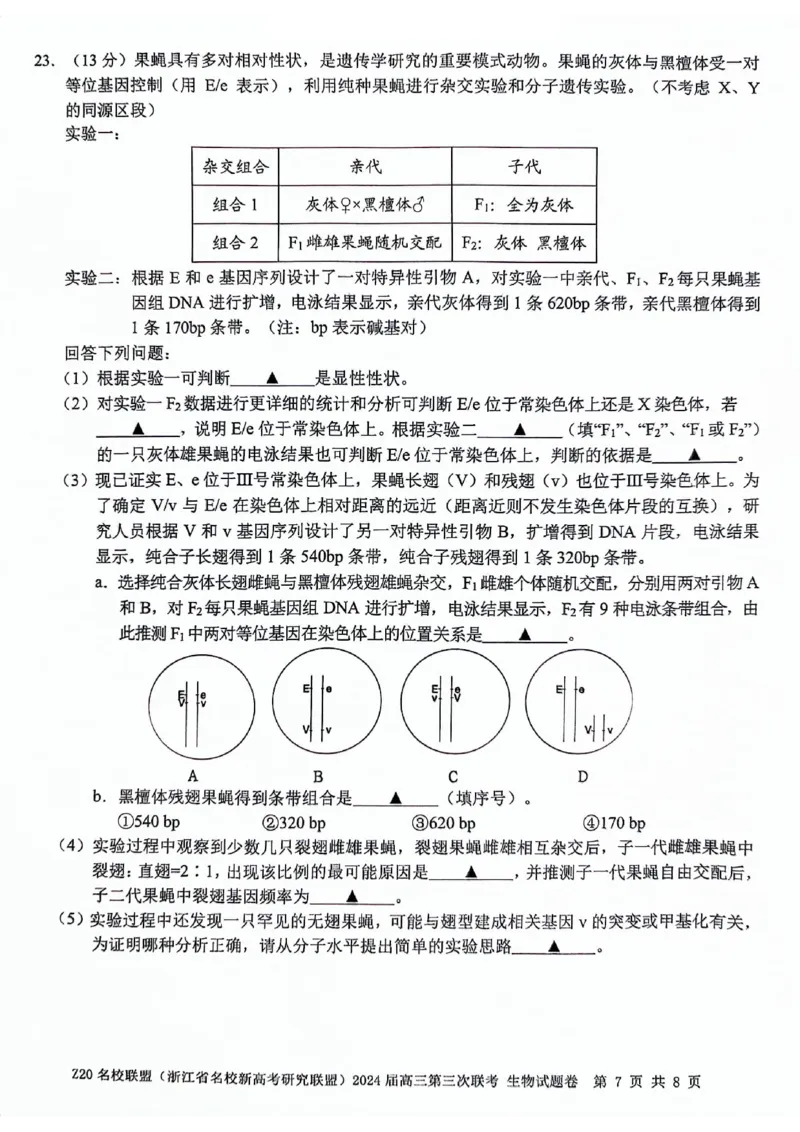 2024届浙江省Z20名校联盟高三第三次联生物试卷_2024年5月_01按日期_20号_2024届浙江省Z20名校联盟高三第三次联考_2024届浙江省Z20名校联盟高三第三次联生物
