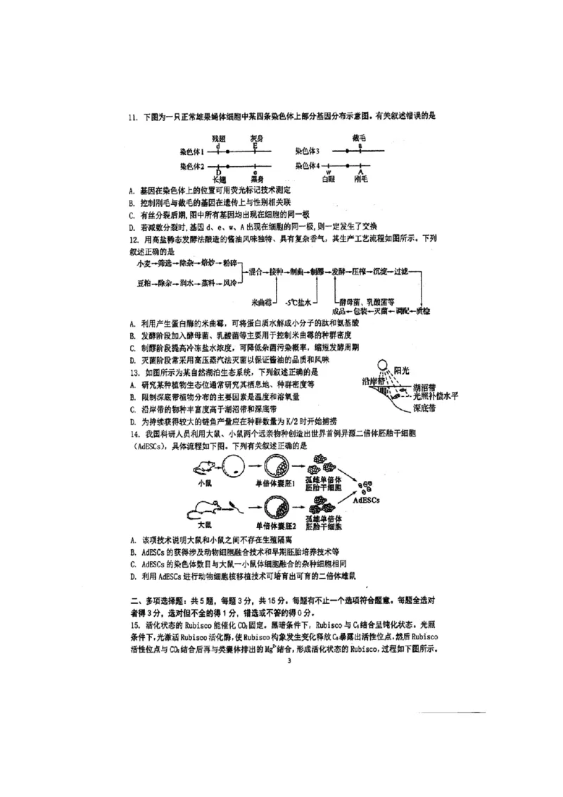 江苏省泰州中学2024届高三第一次质量检测生物(1)_2023年10月_01每日更新_11号_2024届江苏省泰州中学高三第一次质量检测