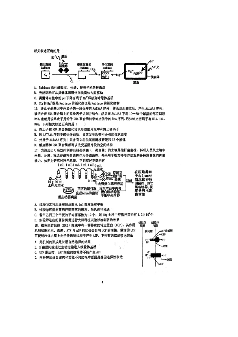 江苏省泰州中学2024届高三第一次质量检测生物(1)_2023年10月_01每日更新_11号_2024届江苏省泰州中学高三第一次质量检测