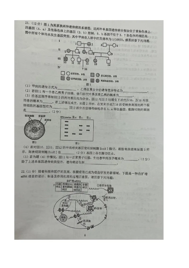 江苏省泰州中学2024届高三第一次质量检测生物(1)_2023年10月_01每日更新_11号_2024届江苏省泰州中学高三第一次质量检测