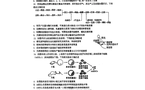 江苏省泰州中学2024届高三第一次质量检测生物(1)_2023年10月_01每日更新_11号_2024届江苏省泰州中学高三第一次质量检测