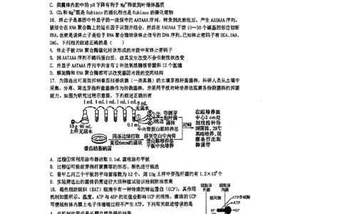 江苏省泰州中学2024届高三第一次质量检测生物(1)_2023年10月_01每日更新_11号_2024届江苏省泰州中学高三第一次质量检测