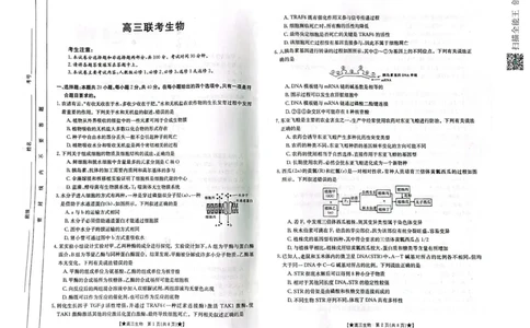 陕西省汉中市2023-2024学年高三上学期第一次联考生物(1)_2023年8月_028月合集_2024届陕西省汉中市高三上学期第一次联考
