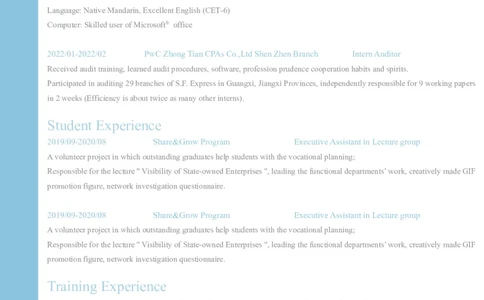 2高端简洁英文CV简历(39)_各类简历_简历模板(1)_英文简历模版86套2025版_