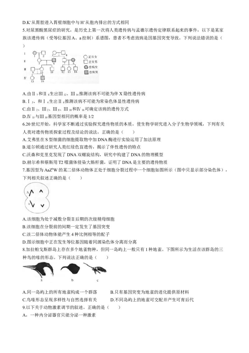 2025届河北省&ldquo;五个一&rdquo;名校联盟高三第一次联考生物试卷_6月_2406212025届河北省&ldquo;五个一&rdquo;名校联盟高三第一次联考