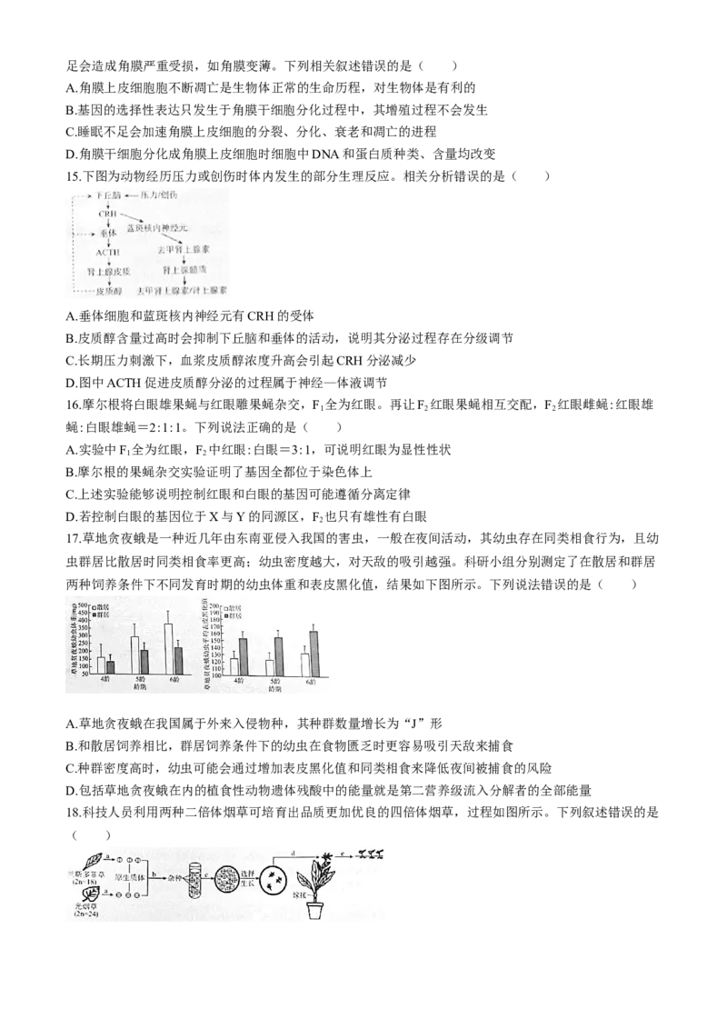 2025届河北省&ldquo;五个一&rdquo;名校联盟高三第一次联考生物试卷_6月_2406212025届河北省&ldquo;五个一&rdquo;名校联盟高三第一次联考