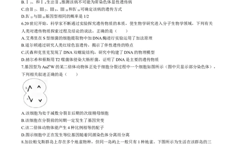 2025届河北省&ldquo;五个一&rdquo;名校联盟高三第一次联考生物试卷_6月_2406212025届河北省&ldquo;五个一&rdquo;名校联盟高三第一次联考