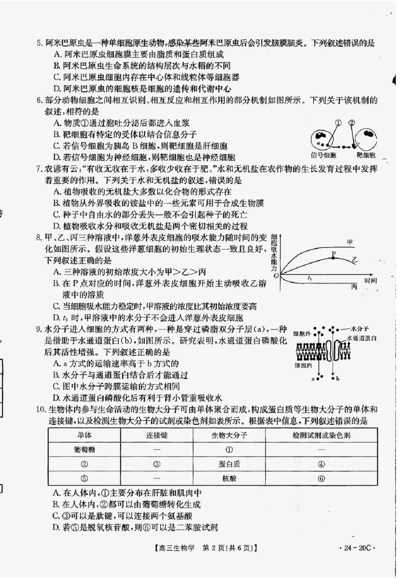 生物_2023年9月_01每日更新_6号_2024届贵州省金太阳9月高三联考（20C）_贵州省2024届金太阳9月高三联考（20C）生物