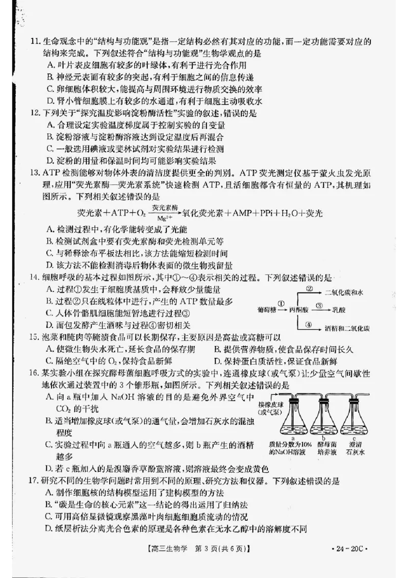 生物_2023年9月_01每日更新_6号_2024届贵州省金太阳9月高三联考（20C）_贵州省2024届金太阳9月高三联考（20C）生物
