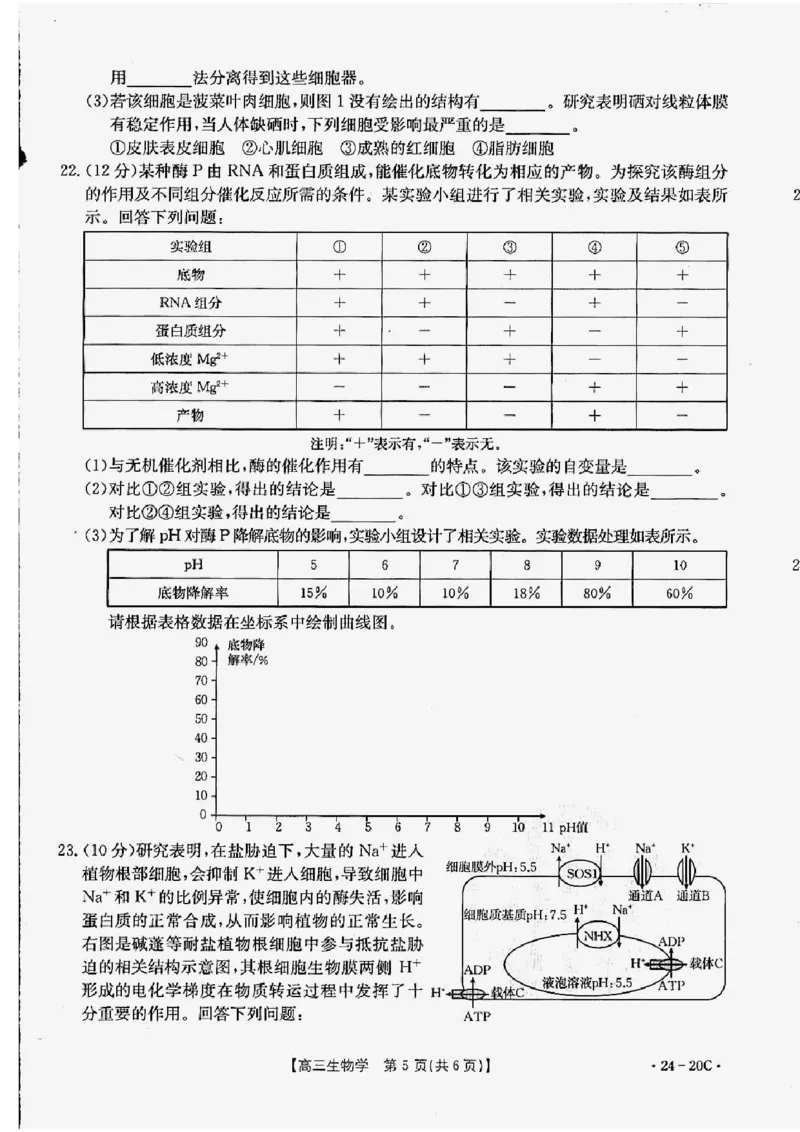 生物_2023年9月_01每日更新_6号_2024届贵州省金太阳9月高三联考（20C）_贵州省2024届金太阳9月高三联考（20C）生物