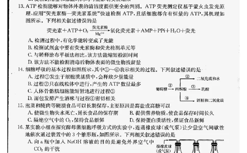 生物_2023年9月_01每日更新_6号_2024届贵州省金太阳9月高三联考（20C）_贵州省2024届金太阳9月高三联考（20C）生物