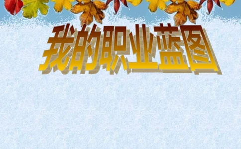 医学影像技术专业&mdash;&mdash;职业生涯规划_E6-职业规划_04医学影像专业