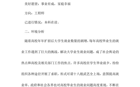 大学职业生涯规划-工程师_E6-职业规划_94其他专业