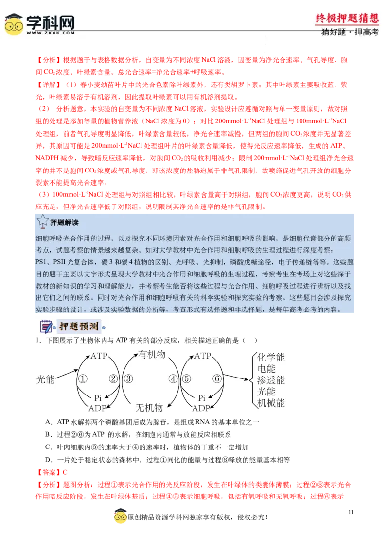 生物-2024年高考终极押题猜想（解析版）_2024高考押题卷_62024学科网全系列_212024年高考终极押题猜想_生物-2024年高考终极押题猜想