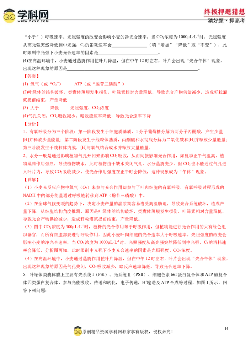 生物-2024年高考终极押题猜想（解析版）_2024高考押题卷_62024学科网全系列_212024年高考终极押题猜想_生物-2024年高考终极押题猜想