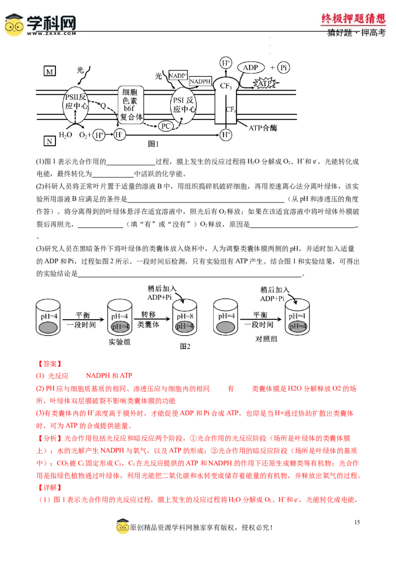 生物-2024年高考终极押题猜想（解析版）_2024高考押题卷_62024学科网全系列_212024年高考终极押题猜想_生物-2024年高考终极押题猜想