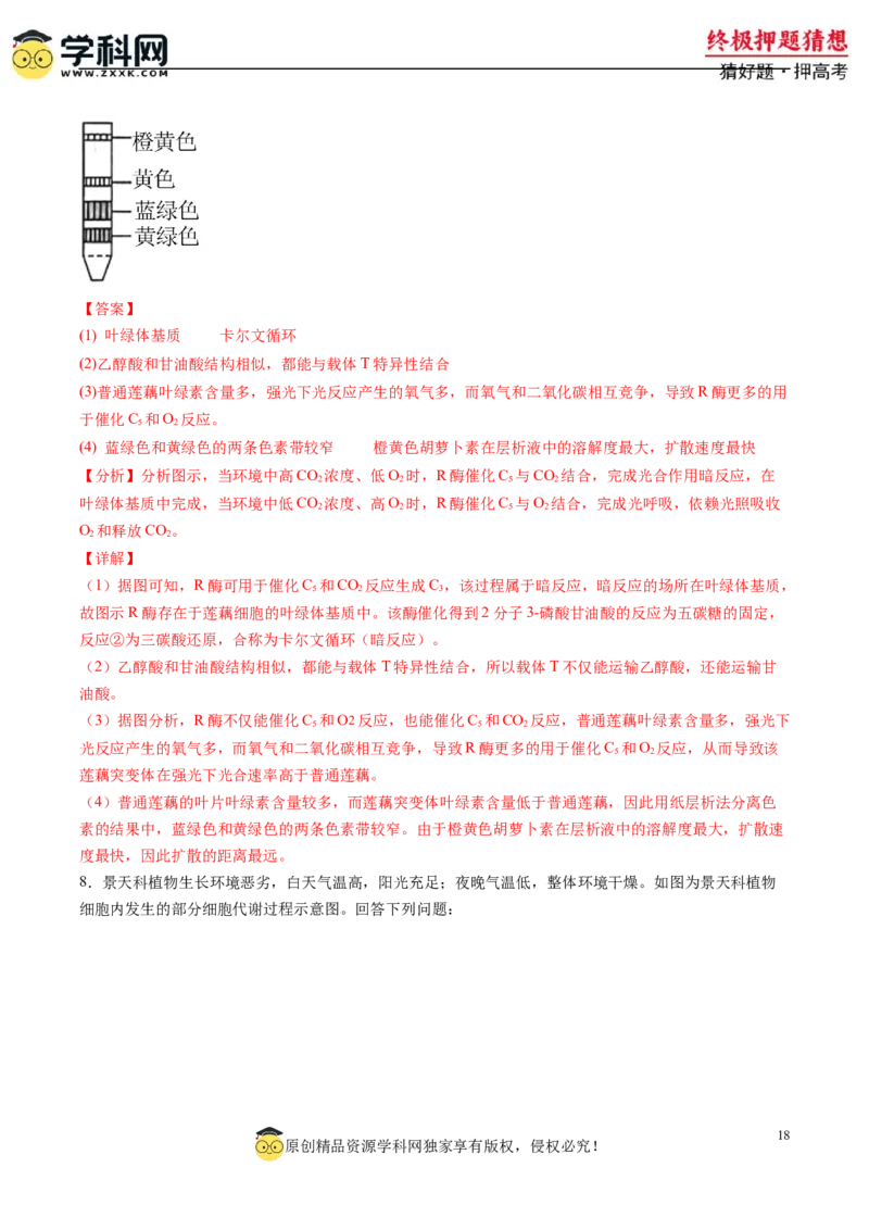 生物-2024年高考终极押题猜想（解析版）_2024高考押题卷_62024学科网全系列_212024年高考终极押题猜想_生物-2024年高考终极押题猜想
