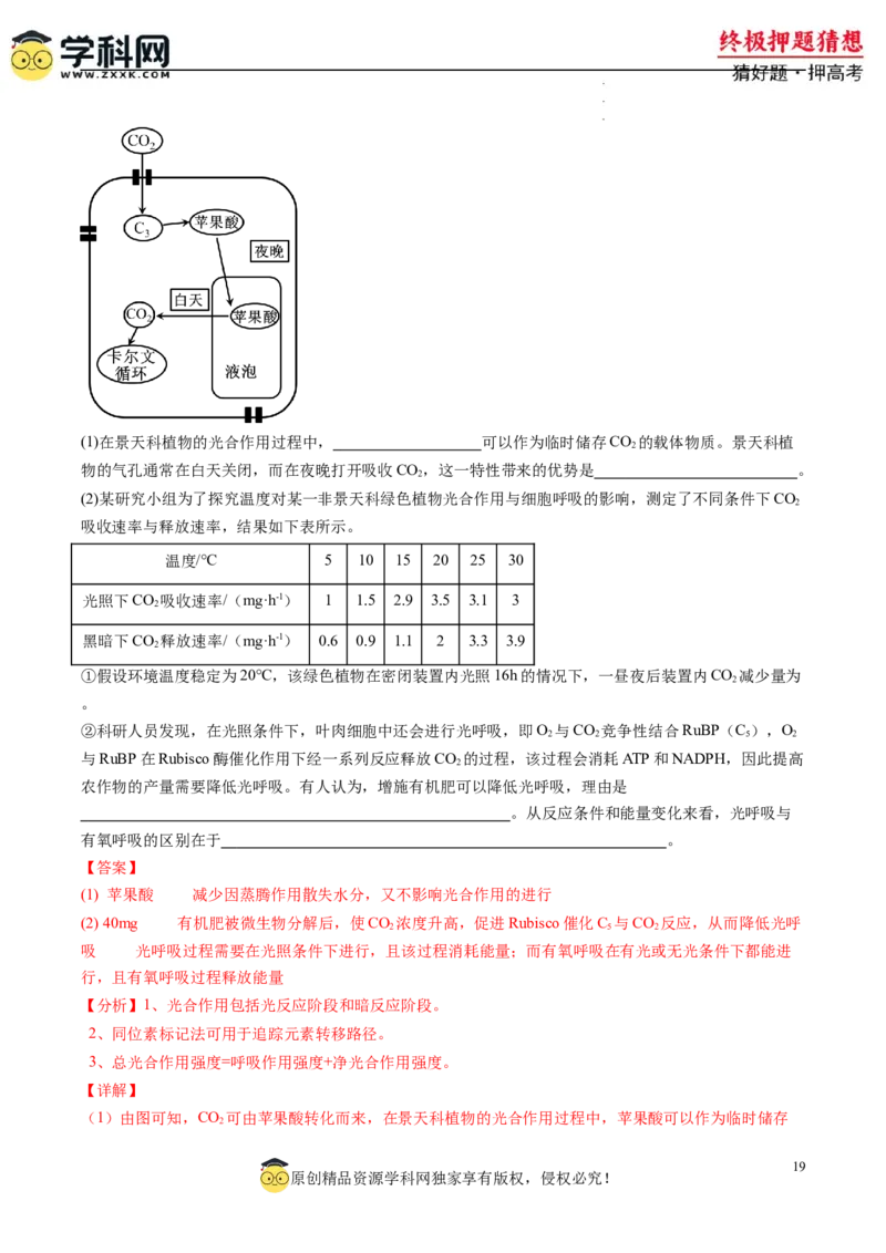 生物-2024年高考终极押题猜想（解析版）_2024高考押题卷_62024学科网全系列_212024年高考终极押题猜想_生物-2024年高考终极押题猜想