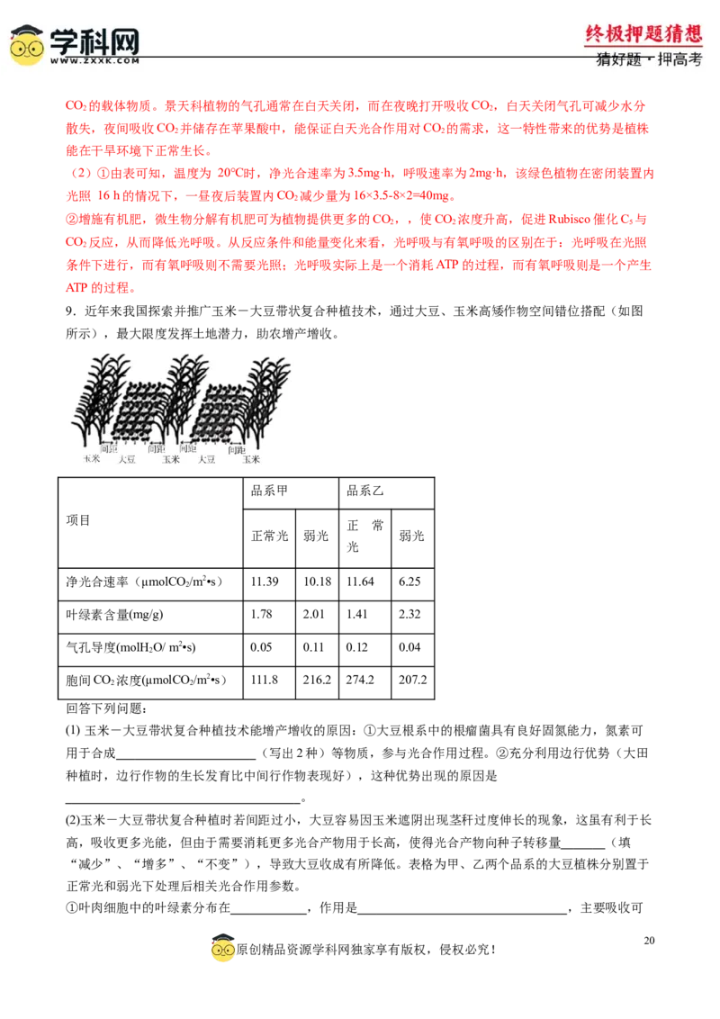 生物-2024年高考终极押题猜想（解析版）_2024高考押题卷_62024学科网全系列_212024年高考终极押题猜想_生物-2024年高考终极押题猜想