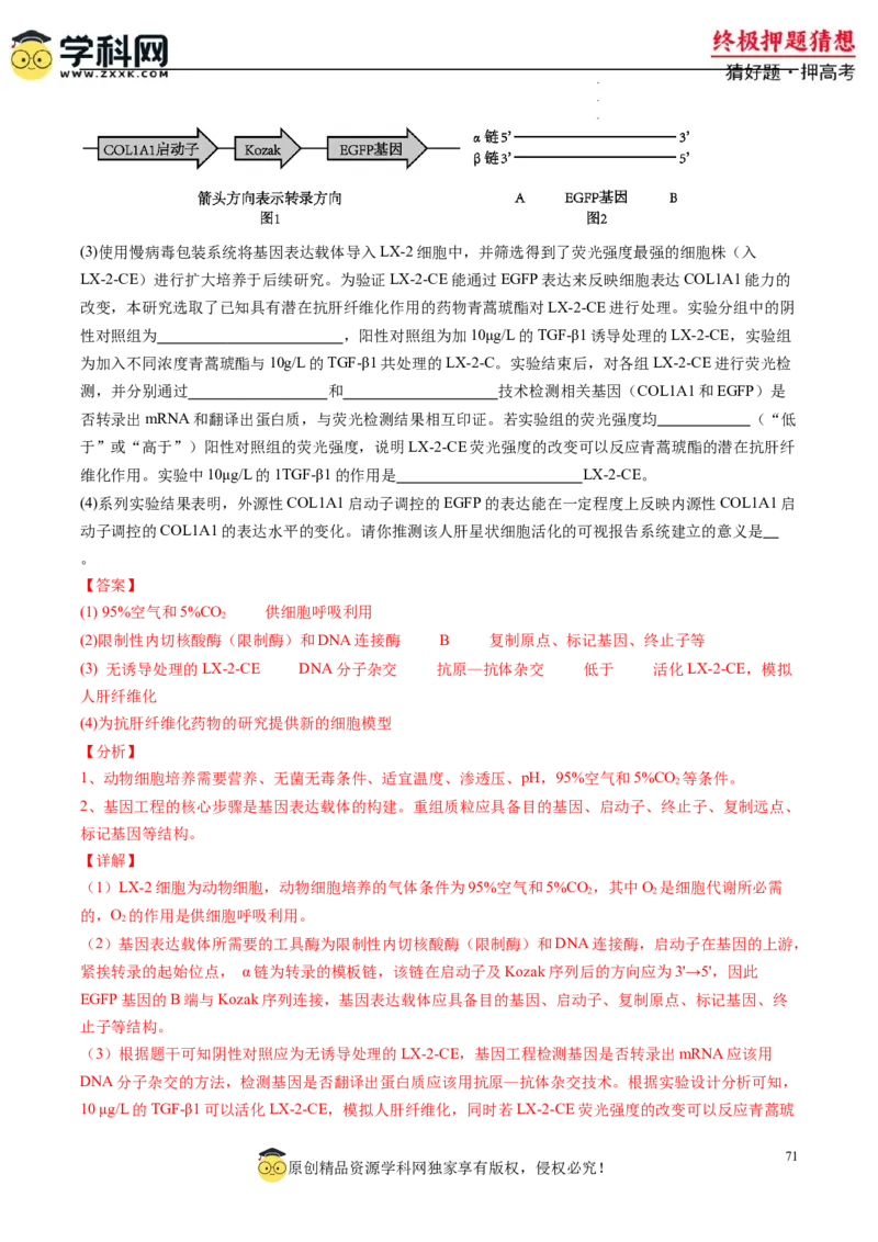 生物-2024年高考终极押题猜想（解析版）_2024高考押题卷_62024学科网全系列_212024年高考终极押题猜想_生物-2024年高考终极押题猜想